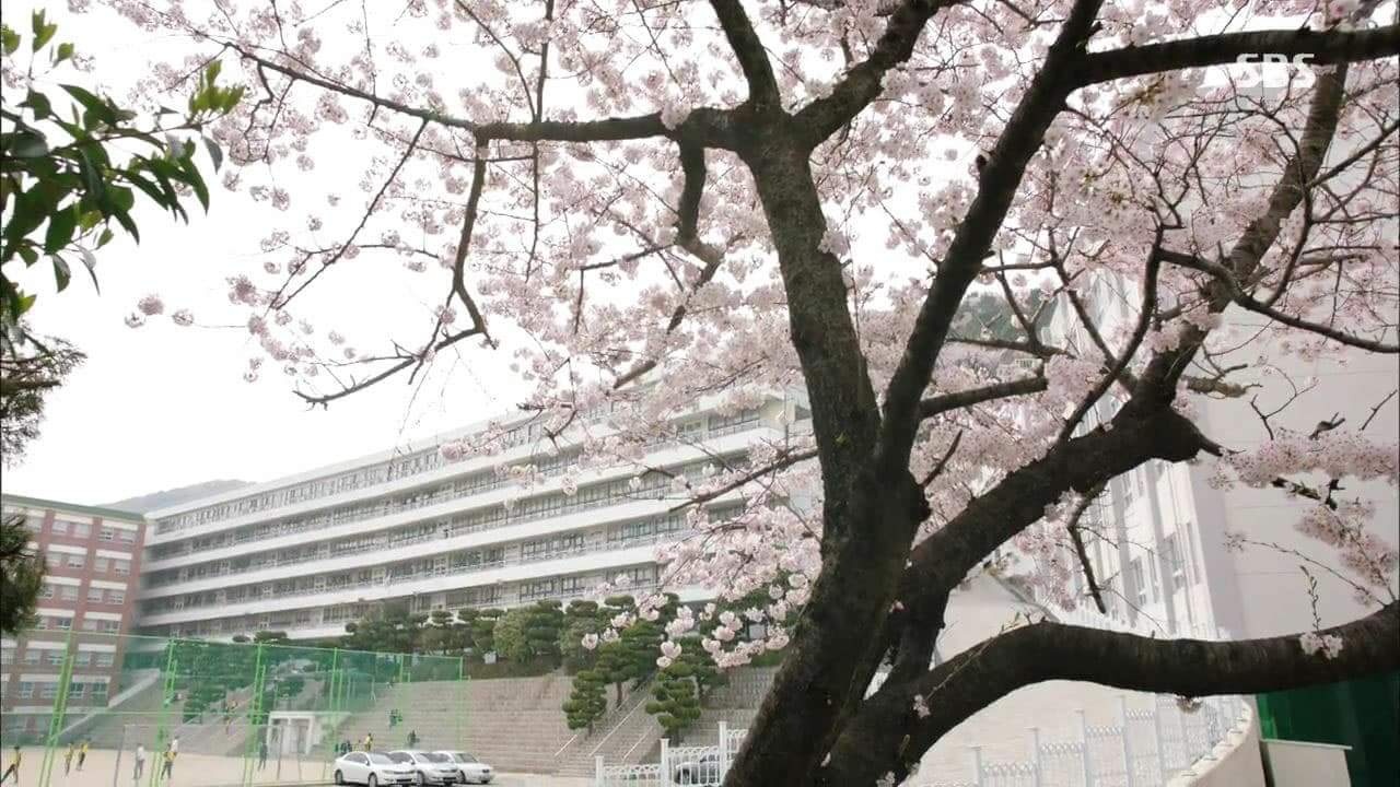 부산컴퓨터과학고등학교 소프트웨어콘텐츠과